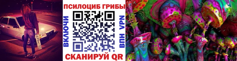 купить наркотики сайты  Ильский  Галлюциногенные грибы Magic Shrooms 