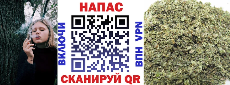 где купить наркоту Ильский площадка наркотические препараты Шишки марихуана Bruce Banner